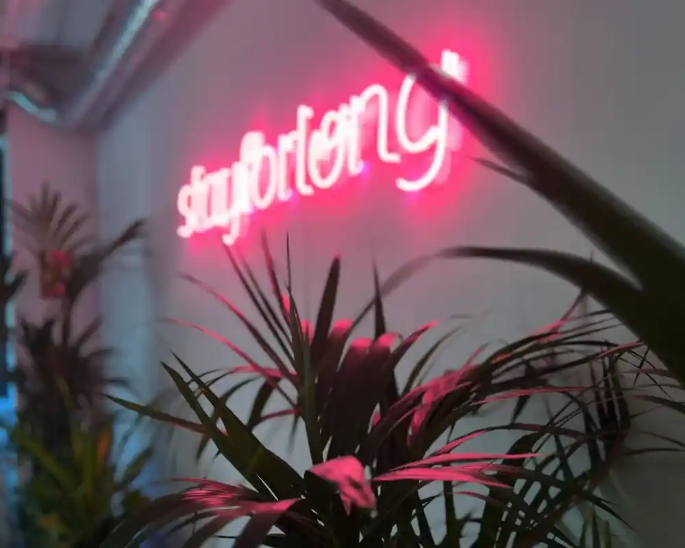 Stayforlong Image Logo